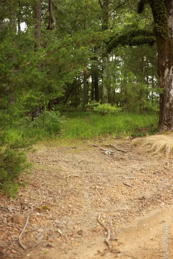 Walker Road, Vaughan, MS 39179