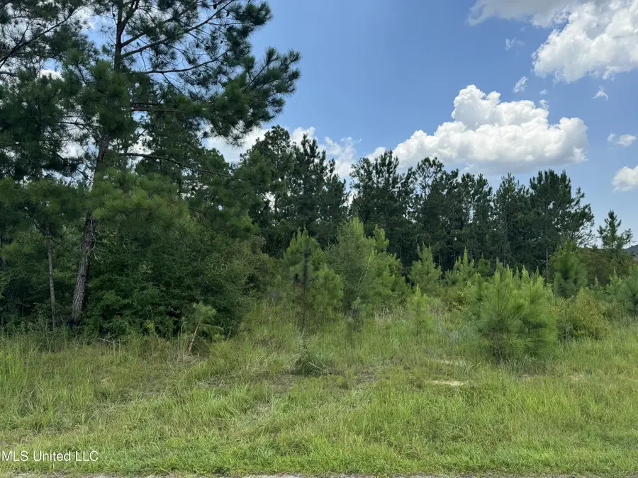 Camp Lane, Gulfport, MS 39503 - Image #3