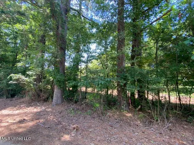 10 Acres Burton, Senatobia, MS 38668 - Image #3