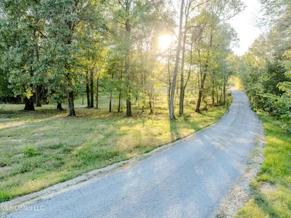 Lot 4 Myers Road, Byhalia, MS 38611