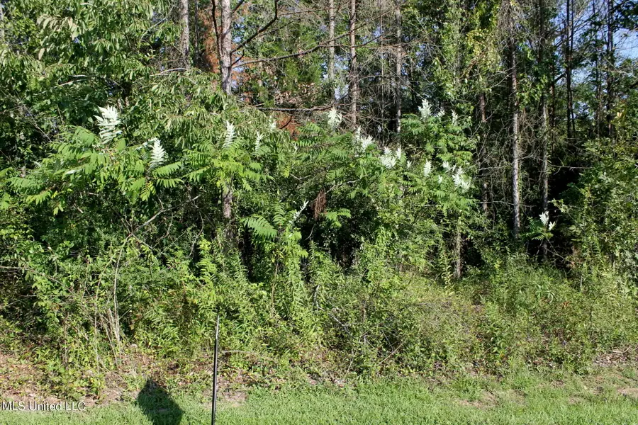 00 Drake Landing Landing, Raymond, MS 39154 - Image #2