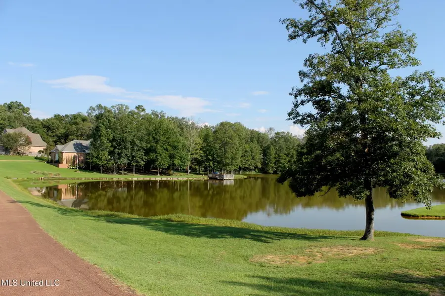 00 Drake Landing Landing, Raymond, MS 39154 - Image #3
