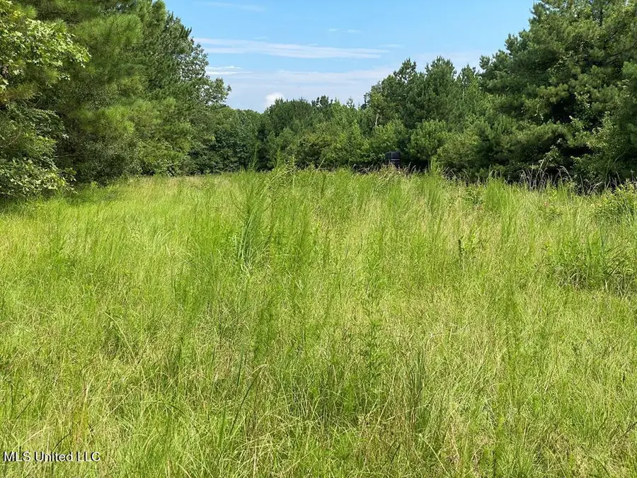 2697 River Road, Silver Creek, MS 39663 - Image #2