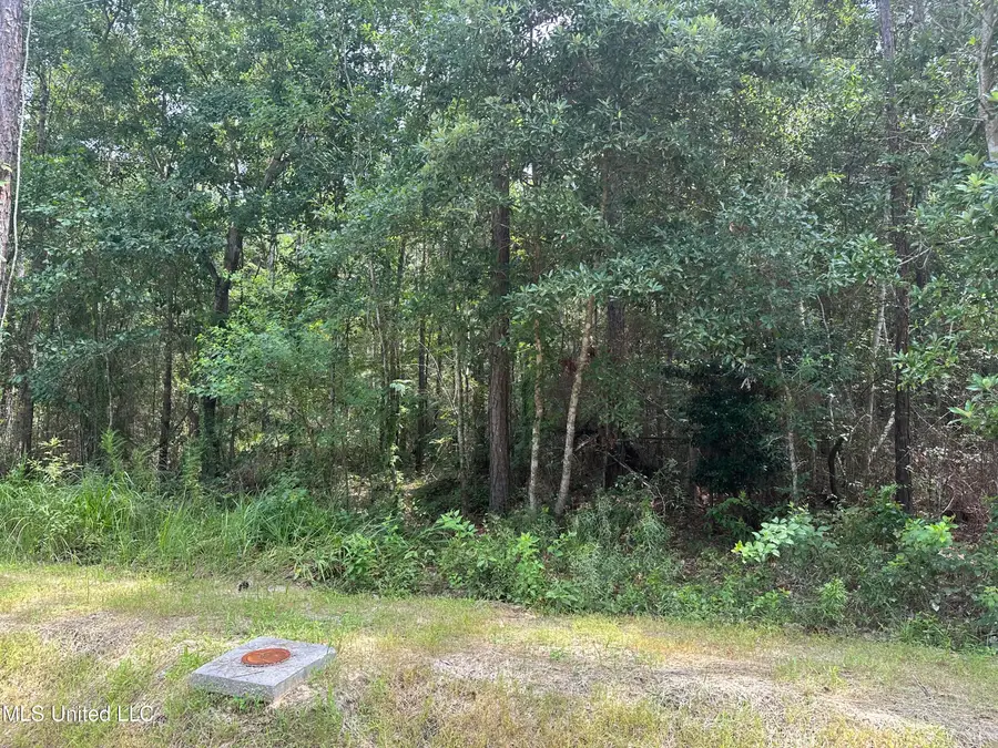 Art Street, Waveland, MS 39576 - Image #2