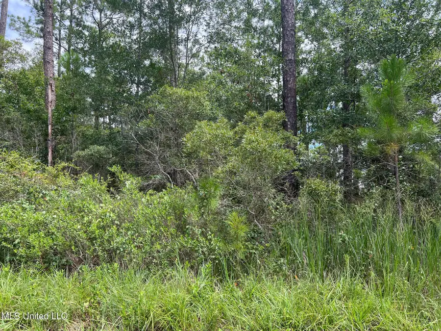 Old Lower Bay Rd Lot 6, Bay Saint Louis, MS 39520 - Image #2