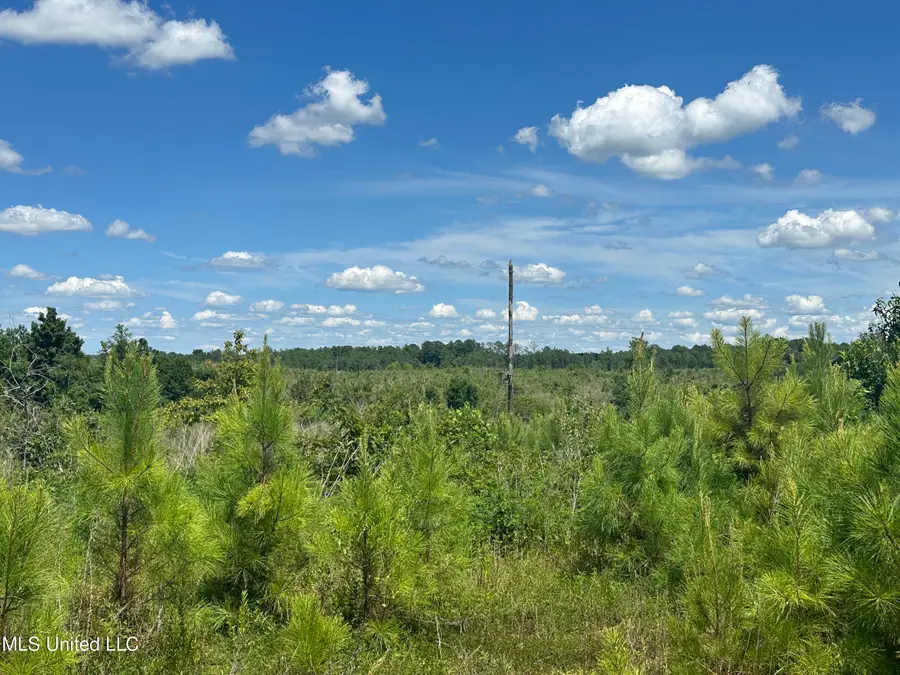 Co Rd 75, Cruger, MS 38924 - Image #3