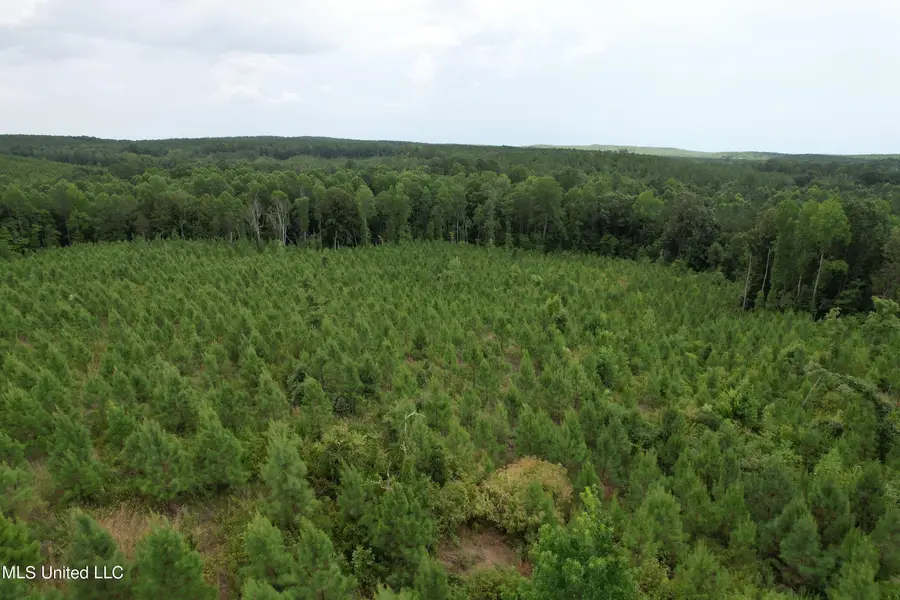 County Road 481, Paris, MS 38949 - Image #2