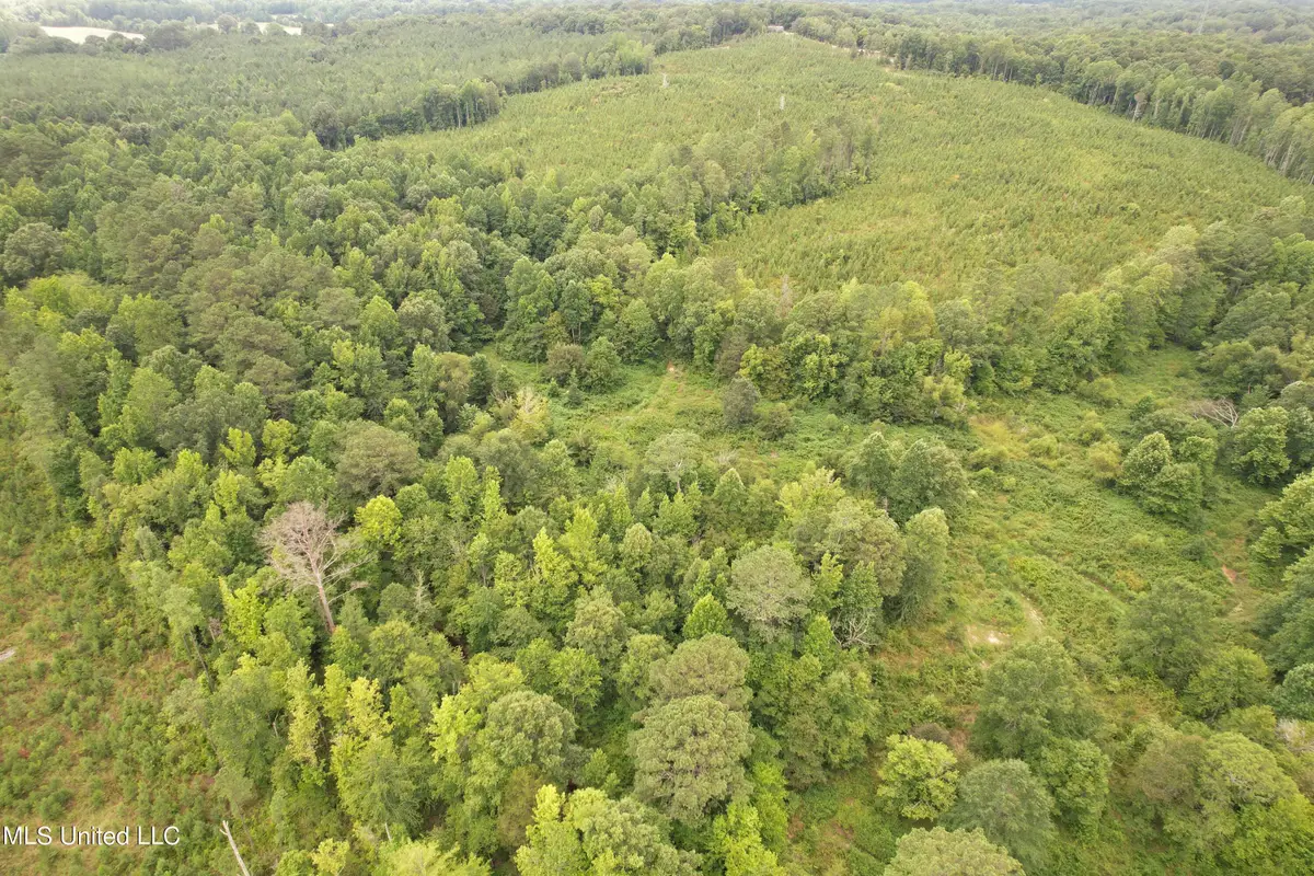 County Road 428, Paris, MS 38949 - Image #1