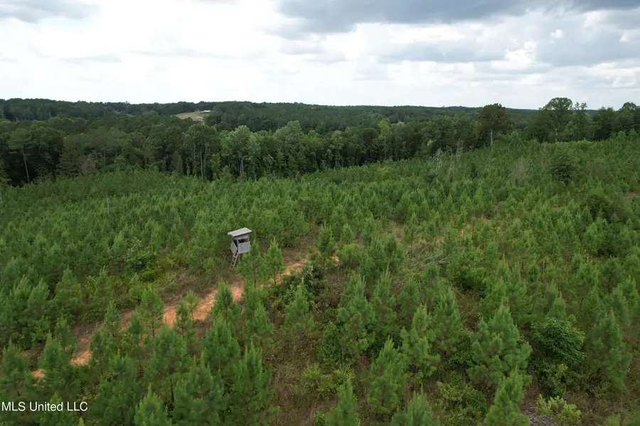 County Road 428, Paris, MS 38949 - Image #2