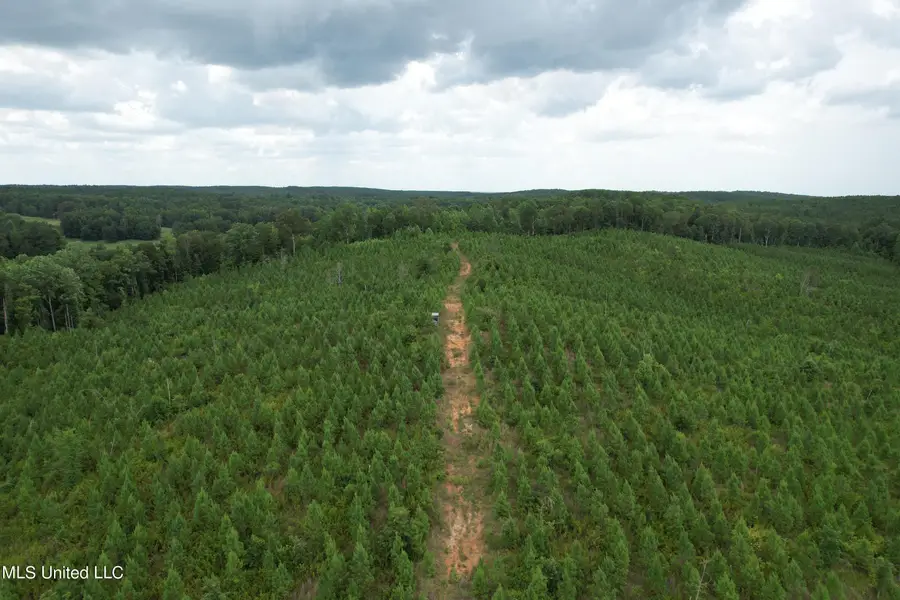 County Road 428, Paris, MS 38949 - Image #3