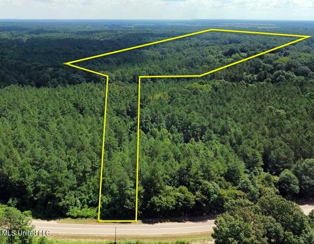 30.2 Acres Cathy Road, Byhalia, MS 38611 - Image #1