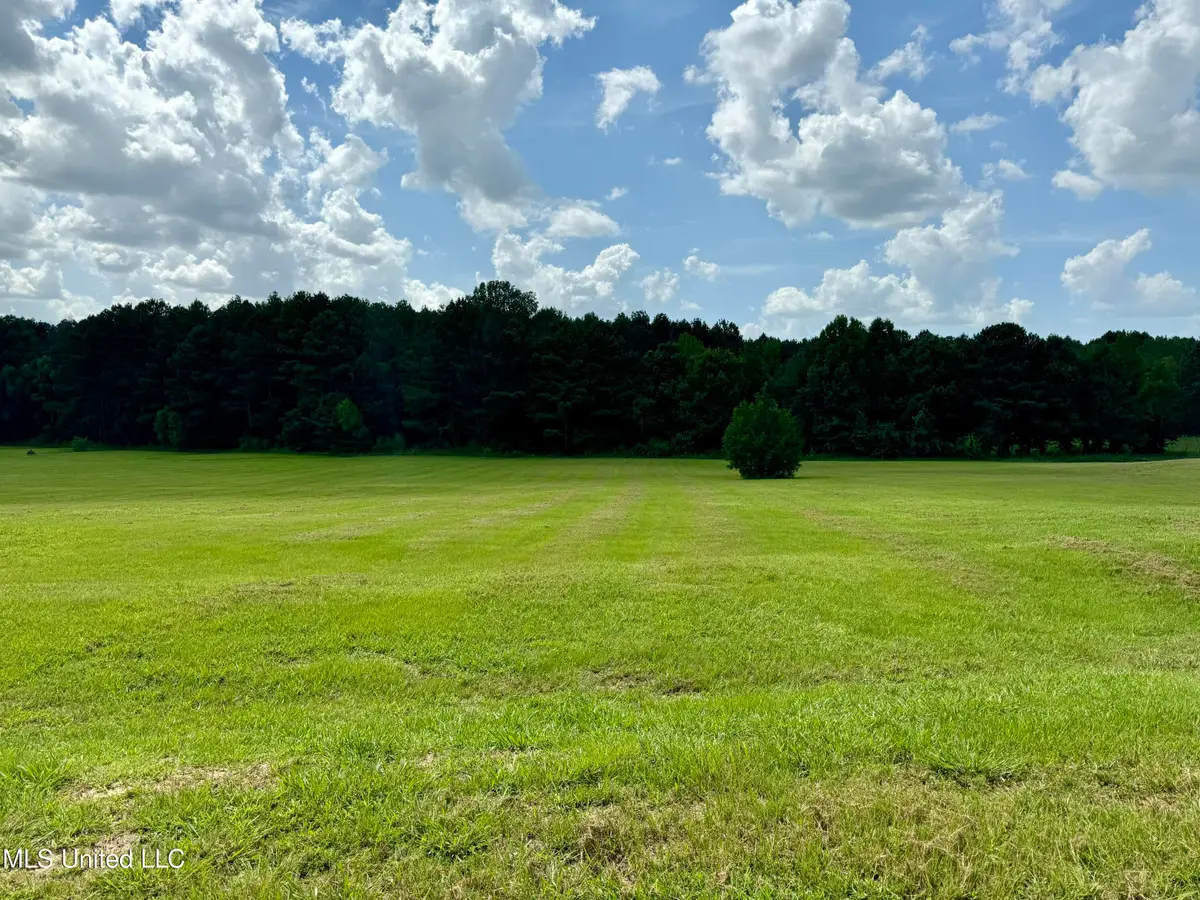 Clark Stables Road, Brandon, MS 39047 - Image #1