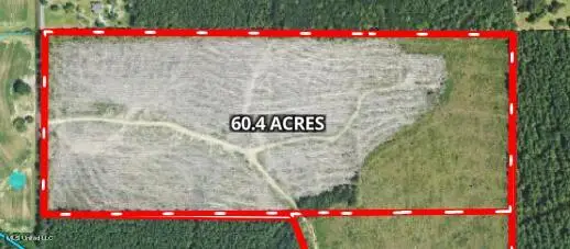 Mink Branch Road, Pelahatchie, MS 39145 - Image #2