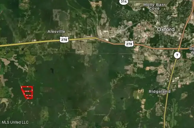 Co Rd 309, Oxford, MS 38655 - Image #3