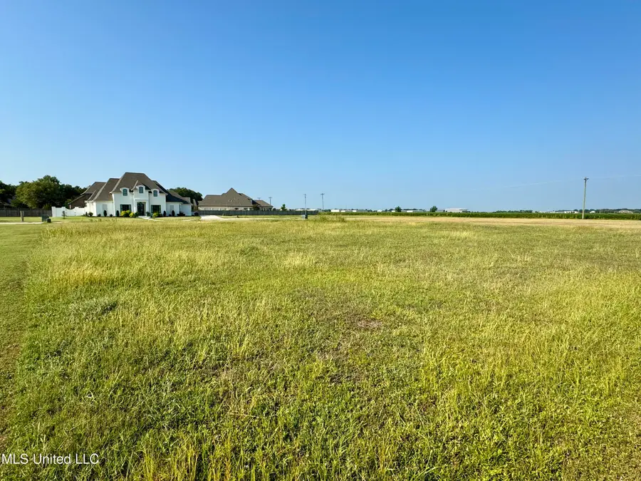 Chatmoss 2nd Lot 8, Cleveland, MS 38732 - #2