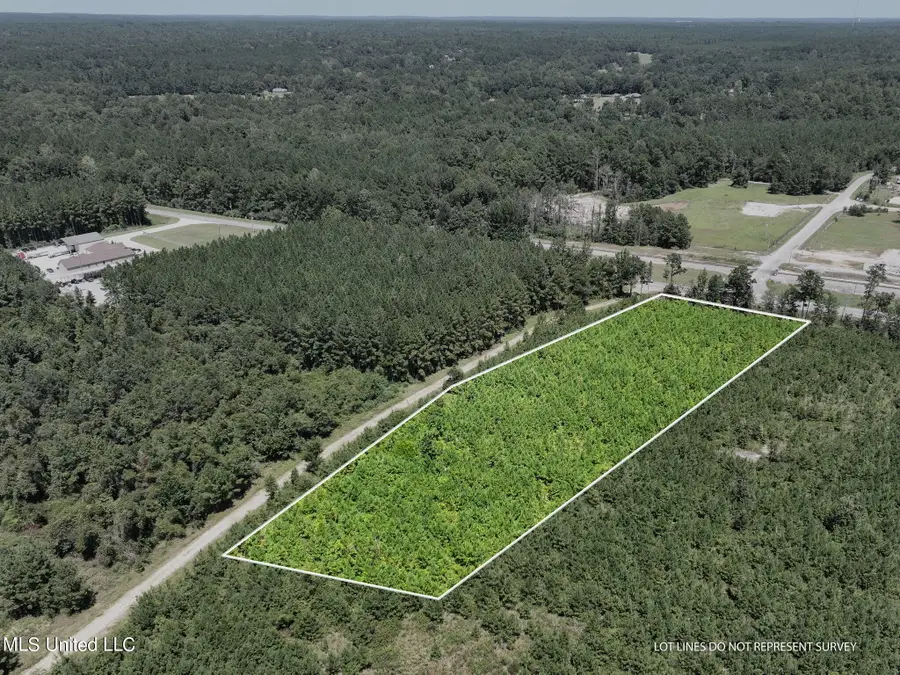 3.0+/- Highway 11, Petal, MS 39465 - Image #3