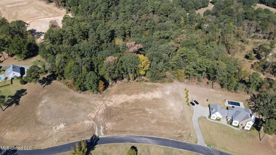 5665 Ginners Lane, Hernando, MS 38632 - Image #3