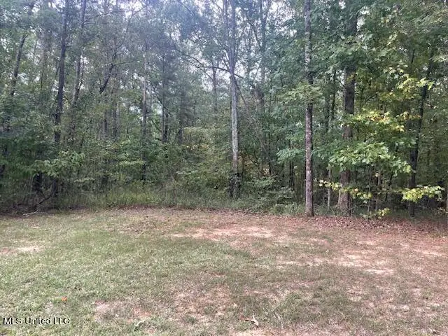 Ivy Lane, Brandon, MS 39042 - Image #2