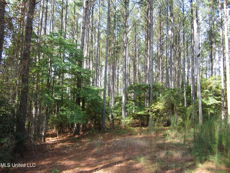 Pine Ridge Cove, Iuka, MS 38852 - #2