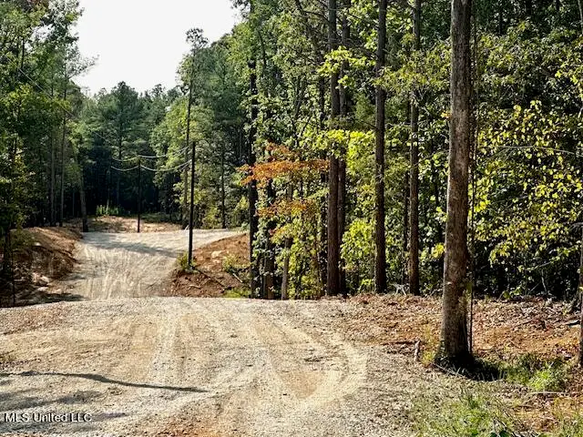 13999 Davenport Road, Byhalia, MS 38611 - #2