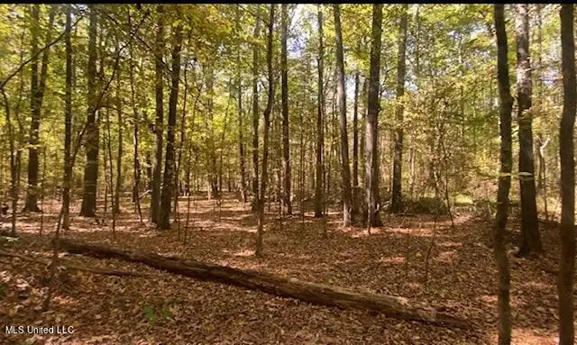 13997 Davenport Road, Byhalia, MS 38611 - #3