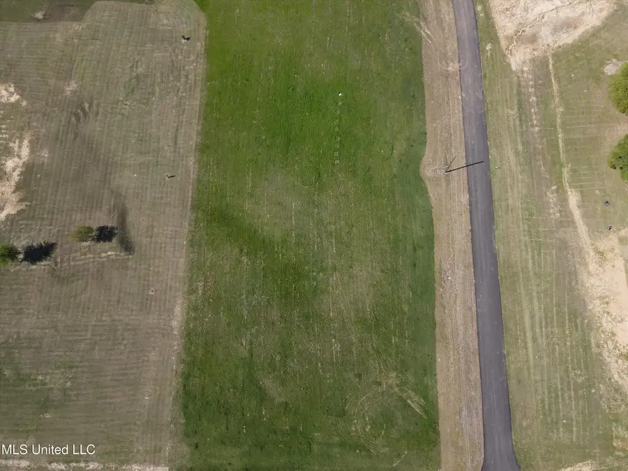 17 W Como Trace Drive, Senatobia, MS 38668 - Image #3