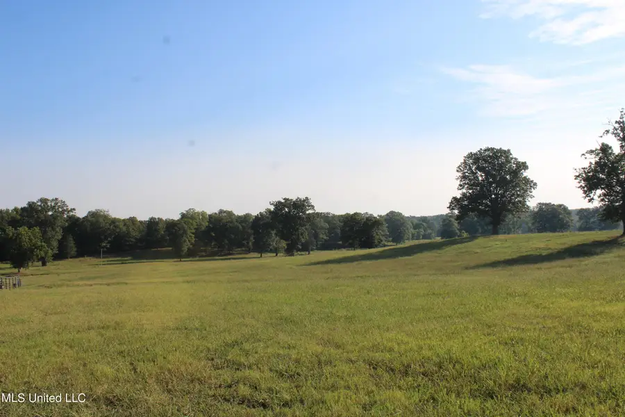 440 Myers Road, Byhalia, MS 38611 - Image #3