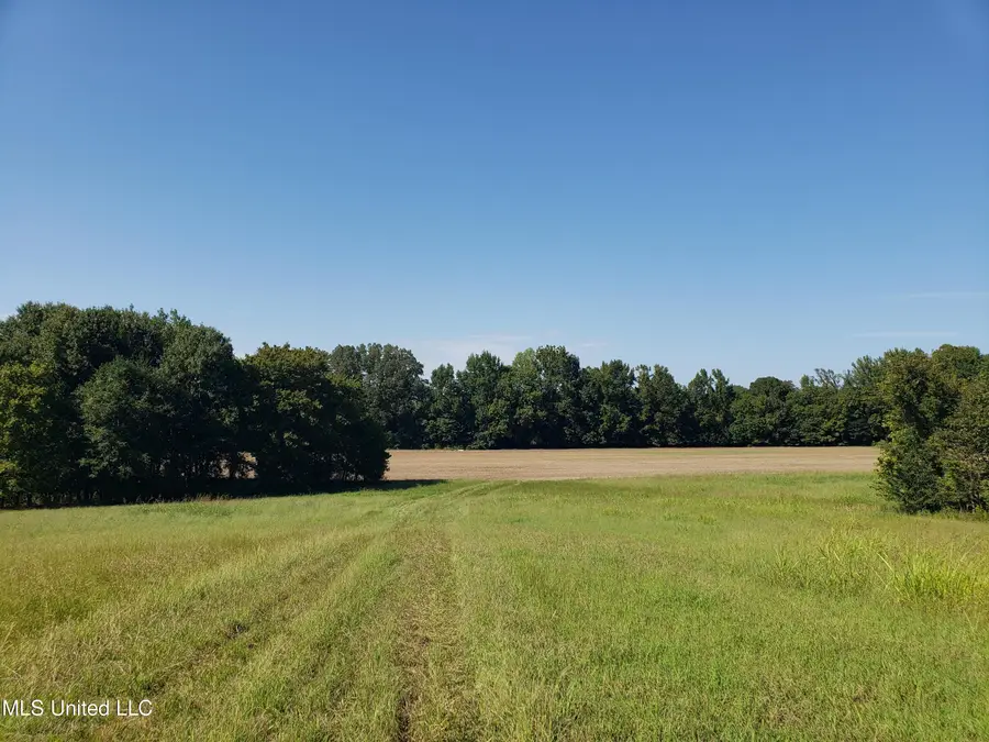 Byhalia Road, Hernando, MS 38632 - Image #2