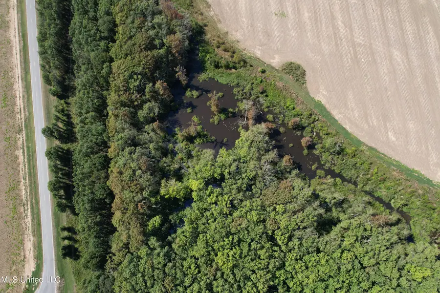 County Road 516, Schlater, MS 38952 - #2