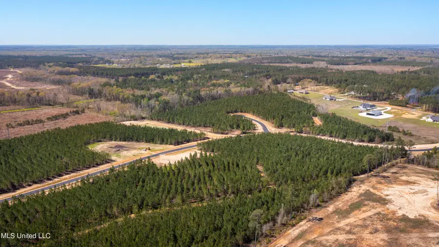 754 Freedom Ridge Lane, Brandon, MS 39047 - Image #3