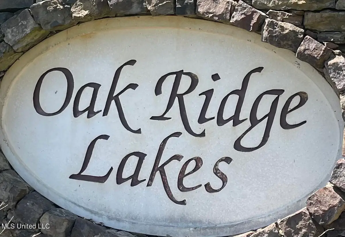 152 Oak Manor Drive, Coldwater, MS 38618 - Image #1