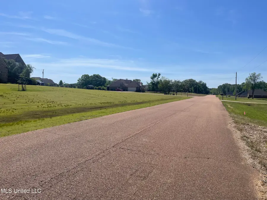 152 Oak Manor Drive, Coldwater, MS 38618 - Image #3