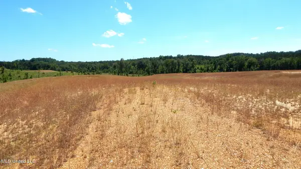 209 Hugh White State Park Road, Grenada, MS 38901