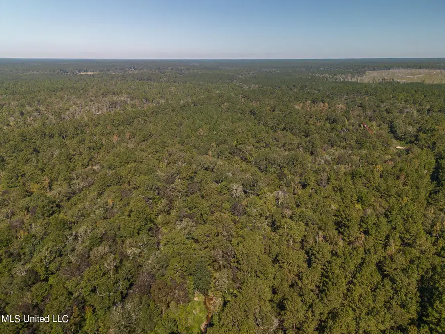 New Hope Road, Wiggins, MS 39577 - Image #2