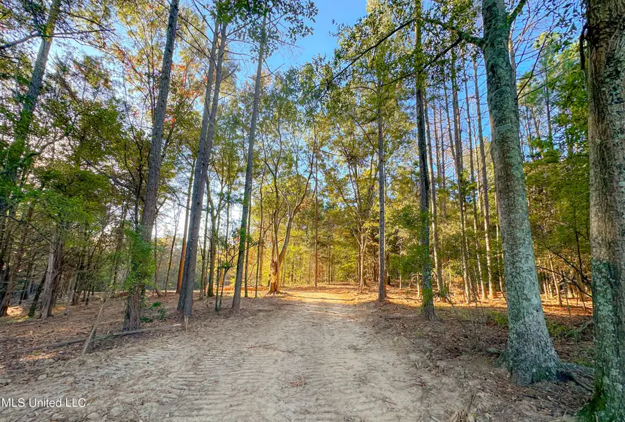 Mount Leopard Road, Flora, MS 39071 - #2