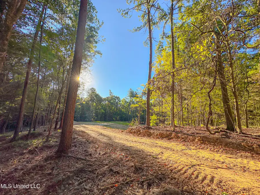 Mount Leopard Road, Flora, MS 39071 - #3