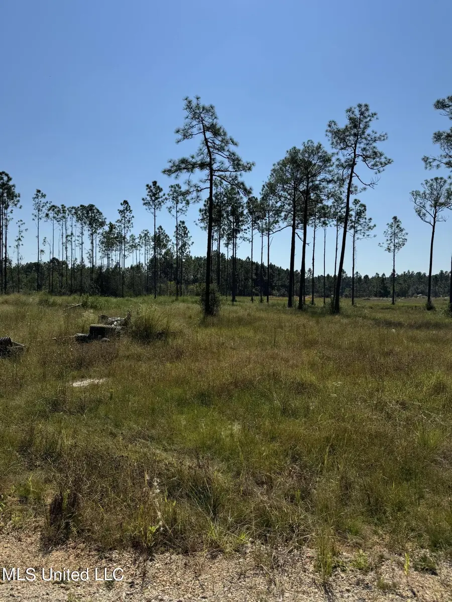 0 Dantzler Road, Vancleave, MS 39565 - Image #2