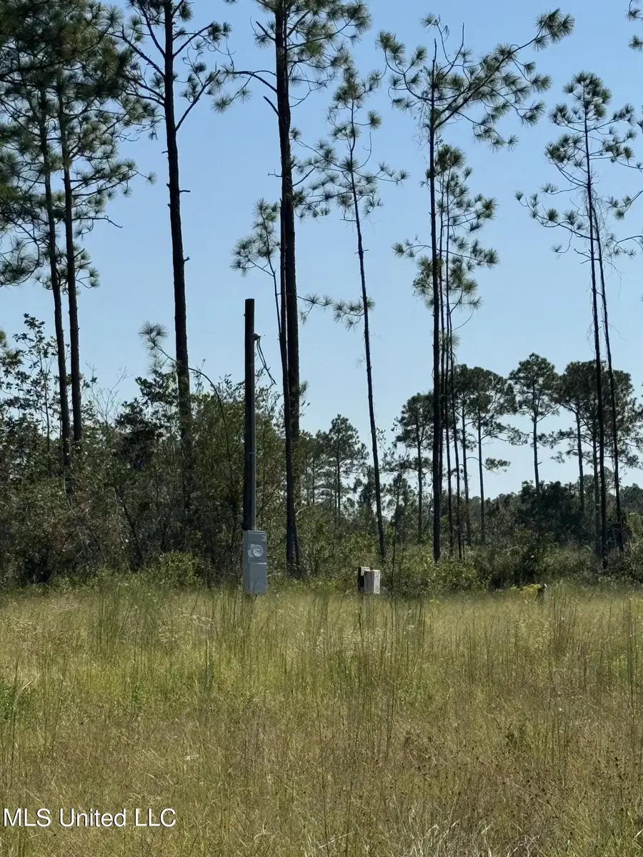 0 Dantzler Road, Vancleave, MS 39565 - Image #3