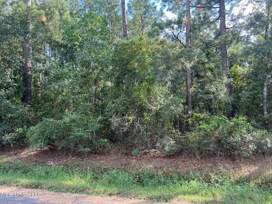 Tyler Street, Bay Saint Louis, MS 39520 - #2