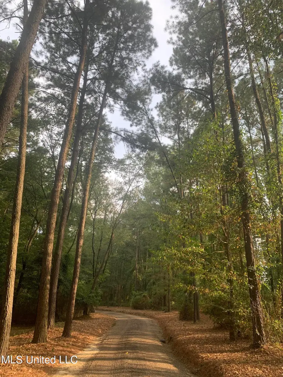 2568 Highway 481, Raleigh, MS 39153 - Image #3