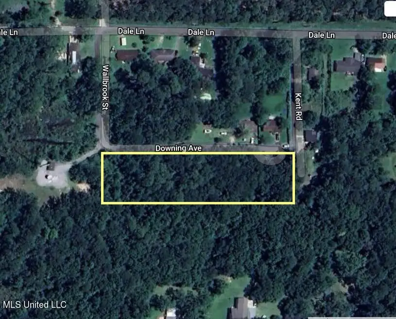 0 Downing Avenue, Moss Point, MS 39563 - Image #1