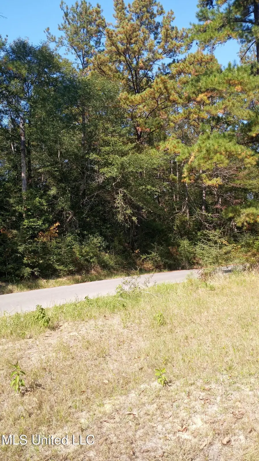 Nsn Mount Rose Circle, McLain, MS 39456 - Image #3