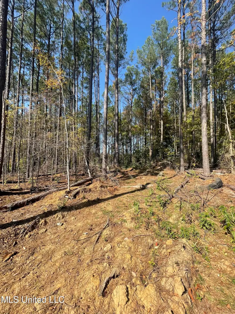 Ella Lane, Byhalia, MS 38611 - Image #2