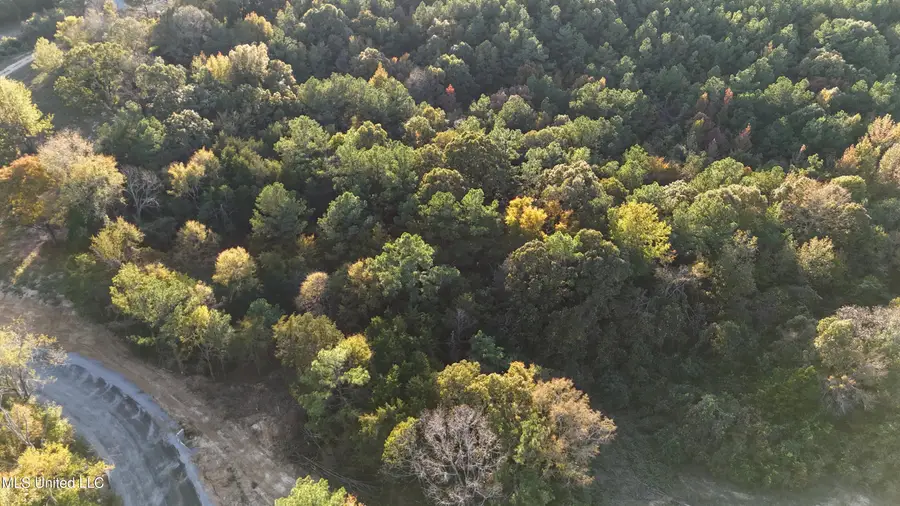 2 Tyro Branch Cove, Senatobia, MS 38668 - Image #3