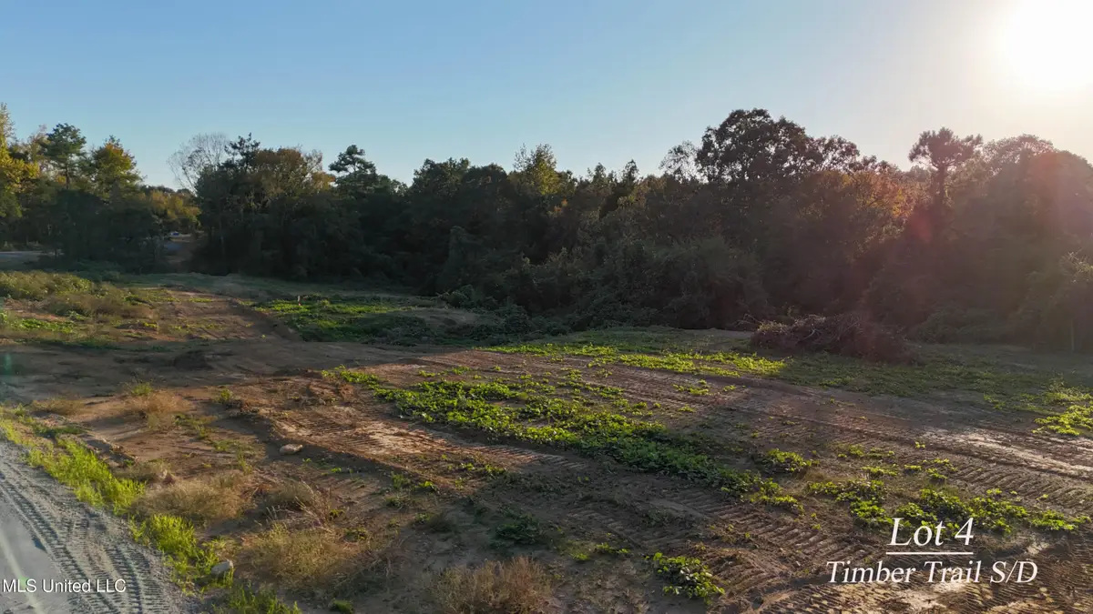 4 Tyro Branch Cove, Senatobia, MS 38668 - Image #1