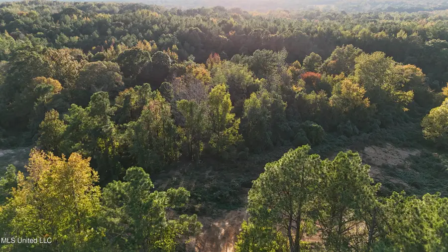 6 Tyro Branch Cove, Senatobia, MS 38668 - Image #3