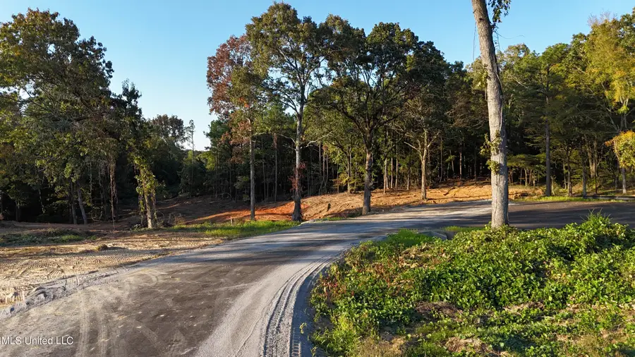 8 Tyro Branch Cove, Senatobia, MS 38668 - Image #3