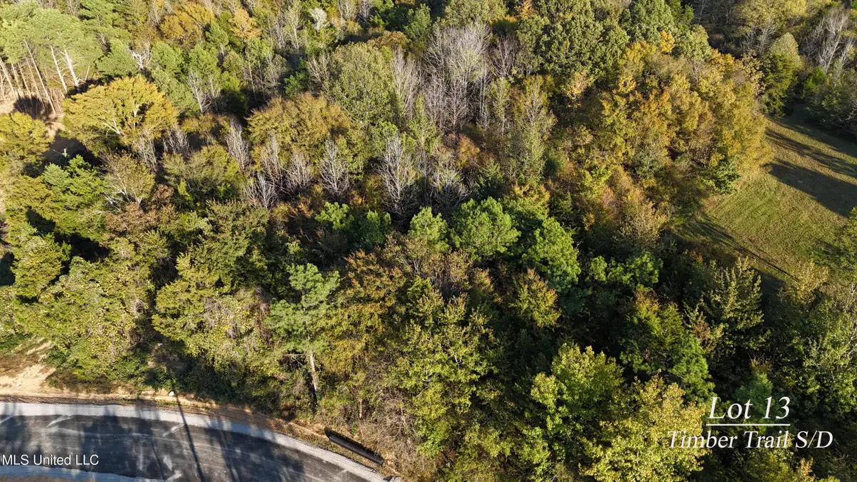 13 Tyro Branch Cove, Senatobia, MS 38668 - Image #1