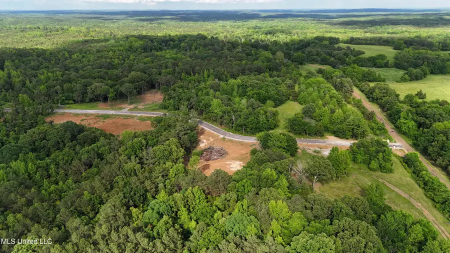 13 Tyro Branch Cove, Senatobia, MS 38668 - Image #2