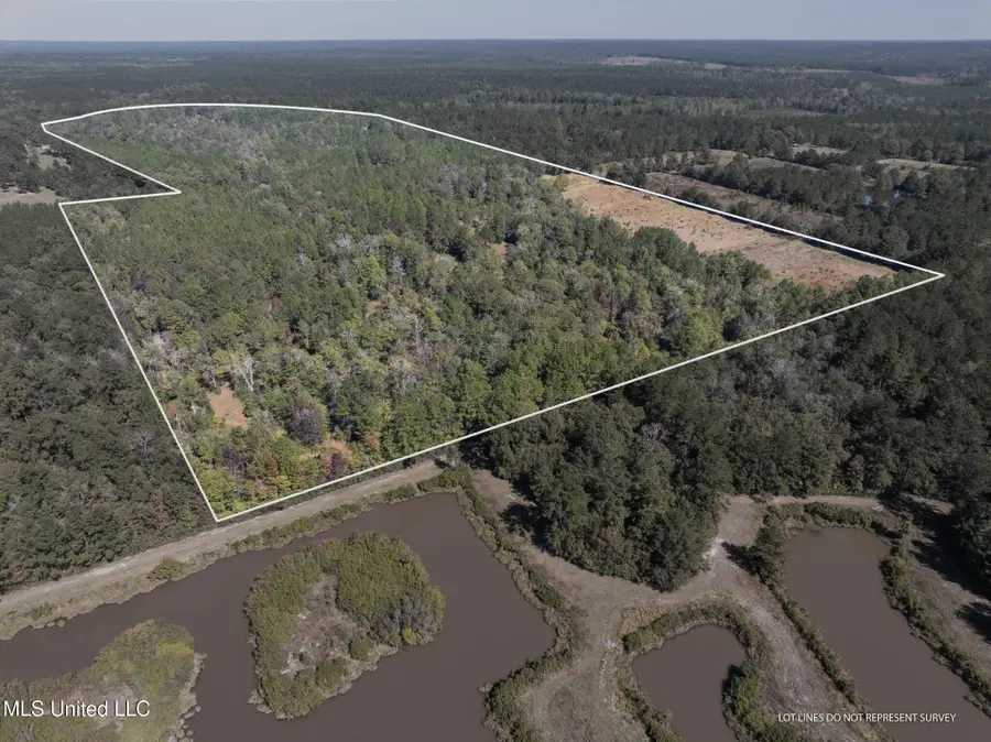 91 Acres Burge & Reyer, Poplarville, MS 39470 - Image #3